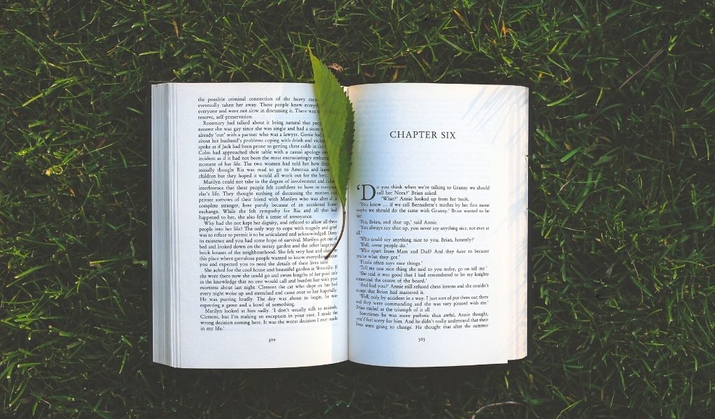 Newly printed book open with a leaf as a bookmark.